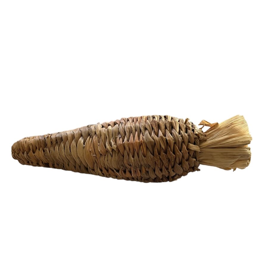 Banana Leaf Carrot Stuffer