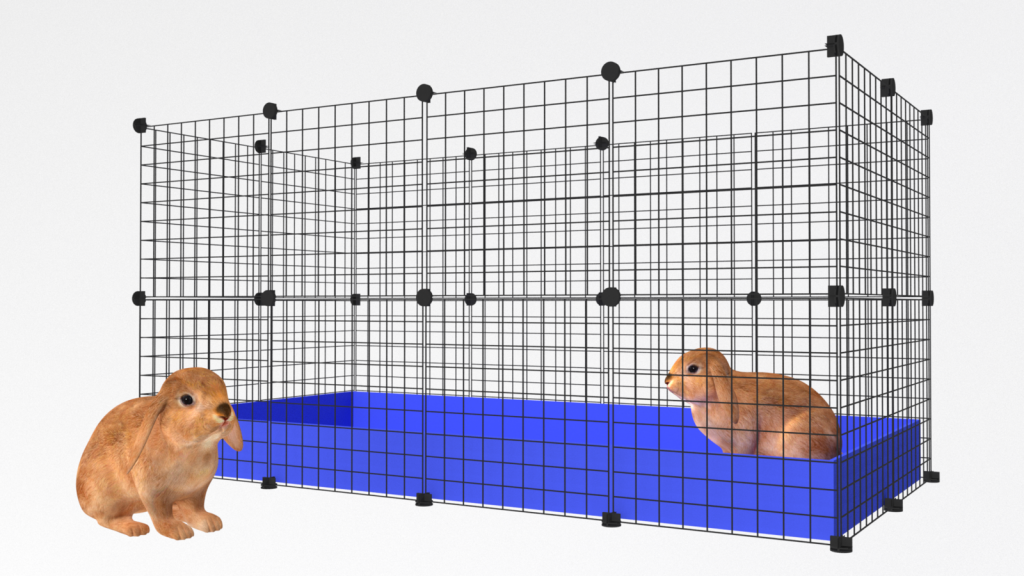 C & C Cage 2×3 Grid Mares Minilop Bunnies